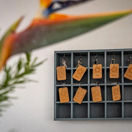 Alto Da Lua - Aljezur Bordeira (Bordeira)